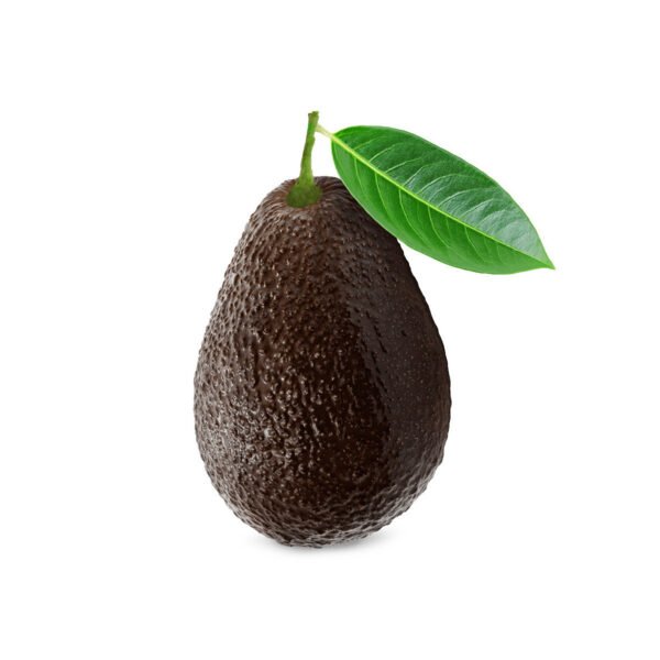 Avocados Hass Mexico