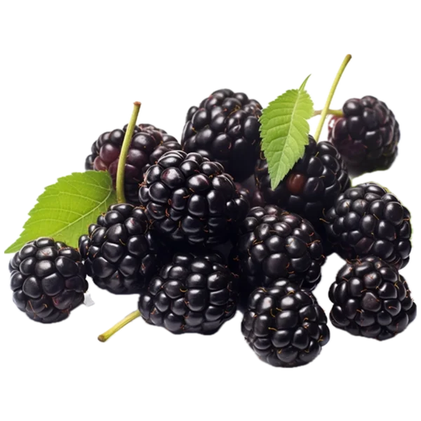 Second image of Blackberry