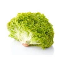 Untitled-1-Recovered