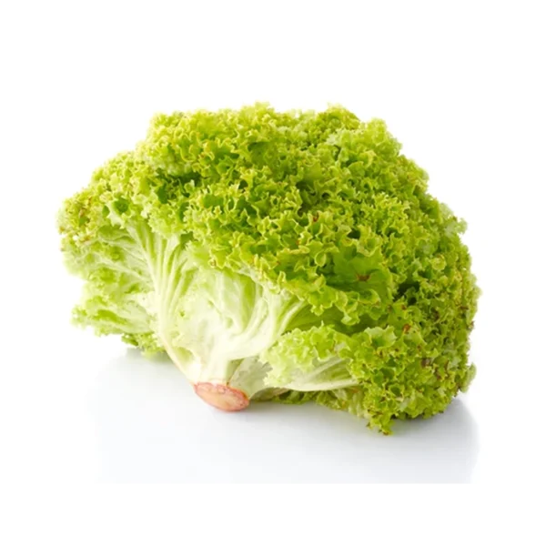 Second image of Lollo Biondo