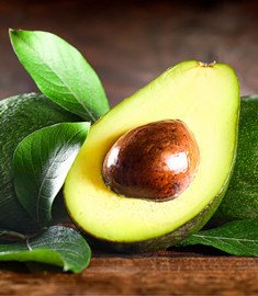 Avocado Hass Mexico