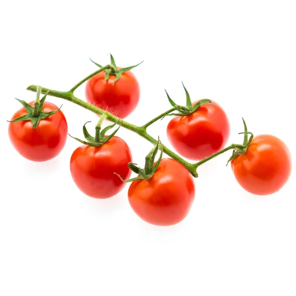 Second image of Tomato Vine
