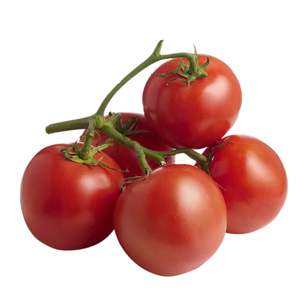 Tomato Vine