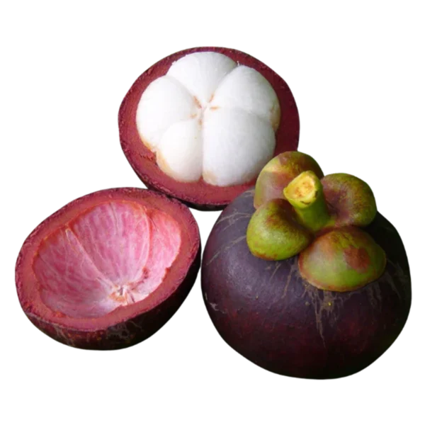 Second image of Mangosteens