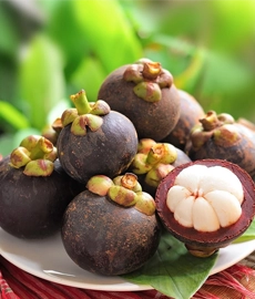 Mangosteen